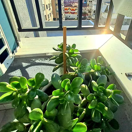 Harmony Apartmán Tirana